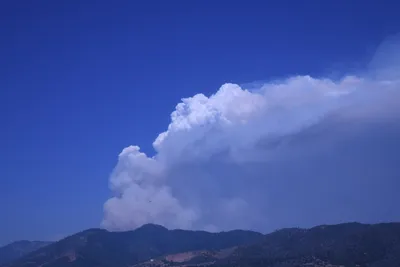 DSC_1855 (Large).JPG